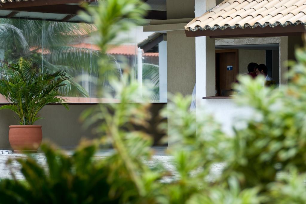 Oyo Hotel Arembepe Beach Hotel, Camacari Eksteriør billede